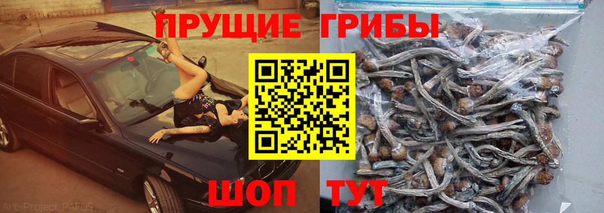 Псилоцибиновые грибы прущие грибы Кизляр