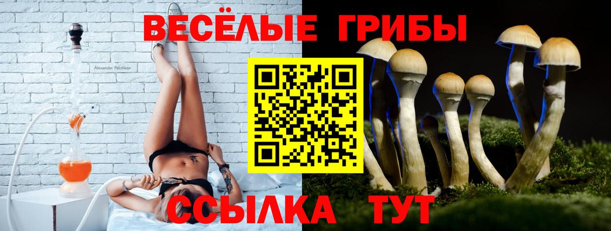 Кизляр  Псилоцибиновые грибы MAGIC MUSHROOMS  Вход с VPN  Галлюциногенные грибы мицелий 